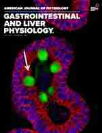 Liver Study